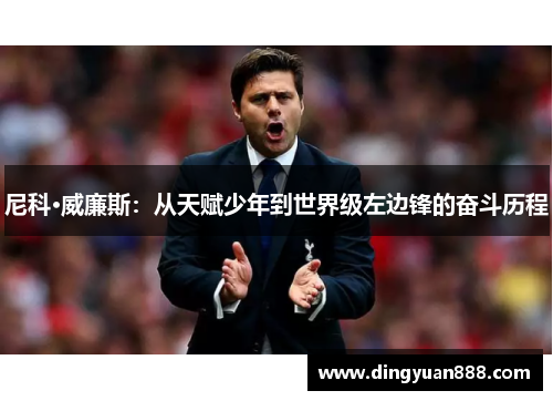 尼科·威廉斯：从天赋少年到世界级左边锋的奋斗历程