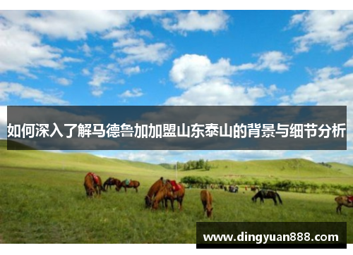 如何深入了解马德鲁加加盟山东泰山的背景与细节分析