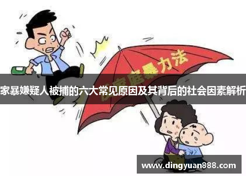 家暴嫌疑人被捕的六大常见原因及其背后的社会因素解析