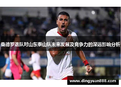 桑德罗退队对山东泰山队未来发展及竞争力的深远影响分析